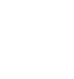 shield Shield Icon